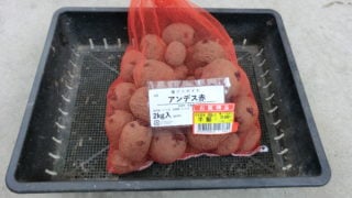 アンデス赤種イモ