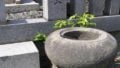 お墓の石