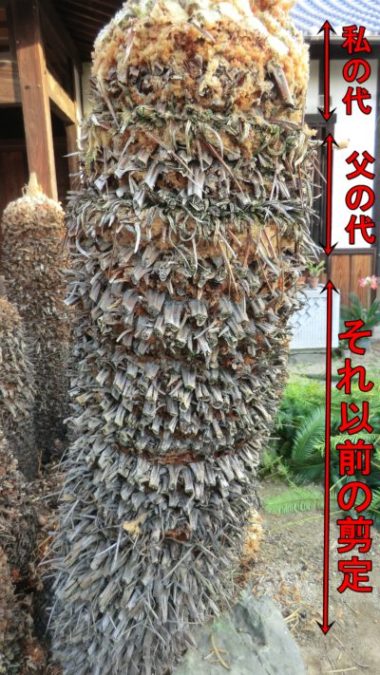 剪定の違い