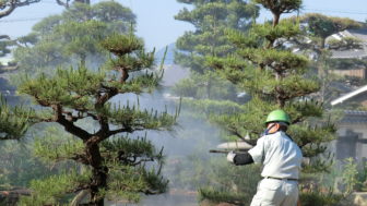 スミパイン噴霧様子の業者