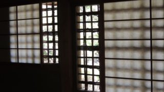 木漏れ日の茶室