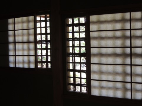 木漏れ日の茶室