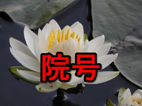 蓮華の上の院号