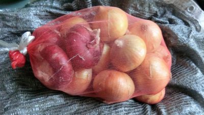 物納の野菜