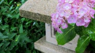 灯篭とアジサイ