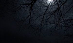 夜の暗い様子