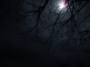 夜の暗い様子