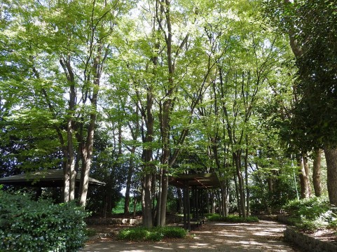 休息の過ごし方