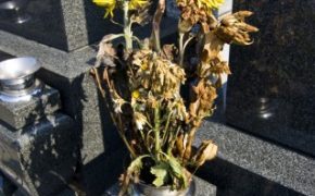 お墓の枯れた花。