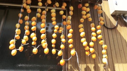 Hoshigaki（Dried persimmons） hanging under the eaves.