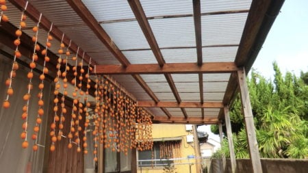 An example of a place to hang a dried persimmon.