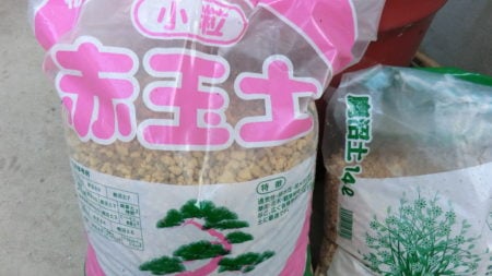 アボガド種まき用の用土。