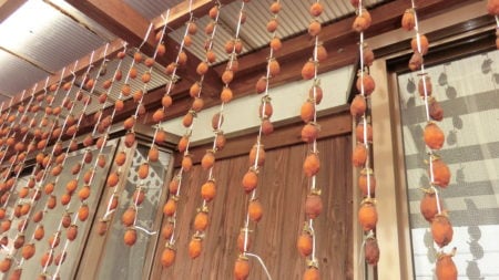 吊ってから２週間後の干し柿。カビに気を付ける。