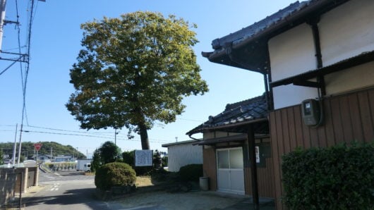 多度津町阿庄のお墓
