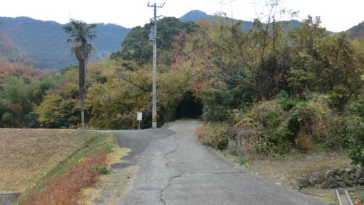 牛額寺から天霧山に登ると月照信海の像につく。
