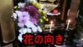仏花の向きの疑問について、浄土真宗お坊さんがお答え
