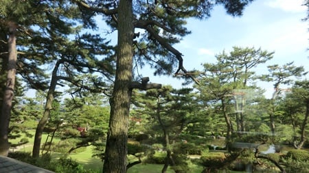 南側の窓から見える庭園