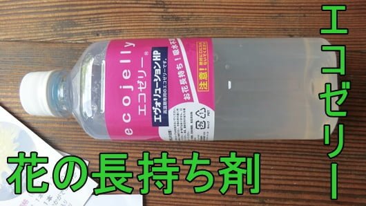 切り花の長持ち剤『エコゼリー』