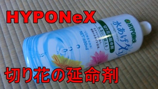 HYPONeX(ハイポネックス)の切り花の延命剤