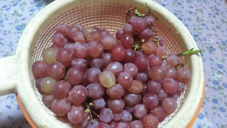 水洗いする前のデラウェアぶどう