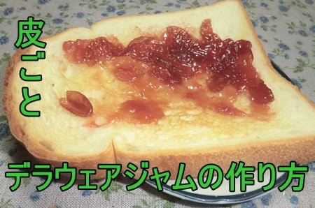 皮つきデラウェアぶどうジャムを食パンにのせている
