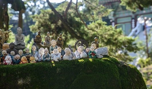 僧侶の私が感じる仏教お坊さんがする嫌いな意識高い活動