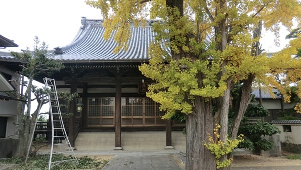 掃除途中のお寺の本堂正面の見た目