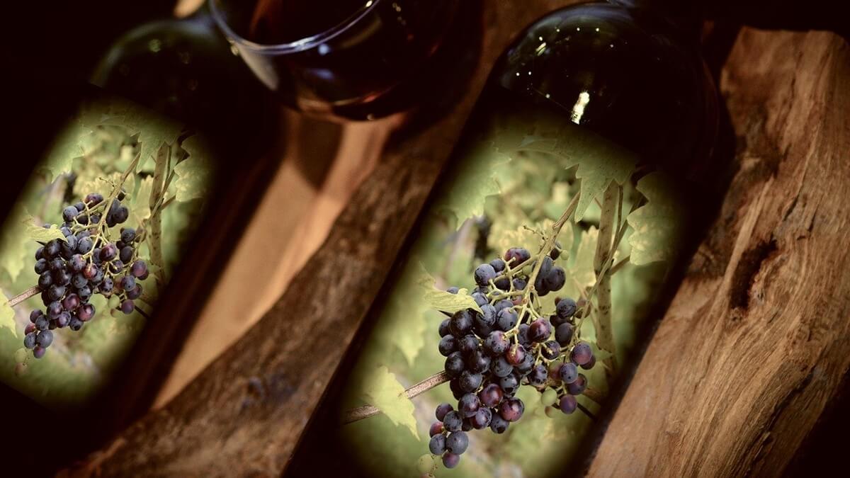 Wine
