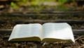 Words book