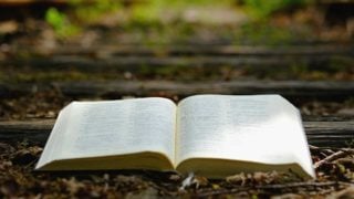 Words book