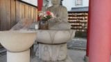 Zentsuji akamonsuji yakushibutsu