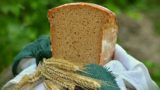 Barley pan