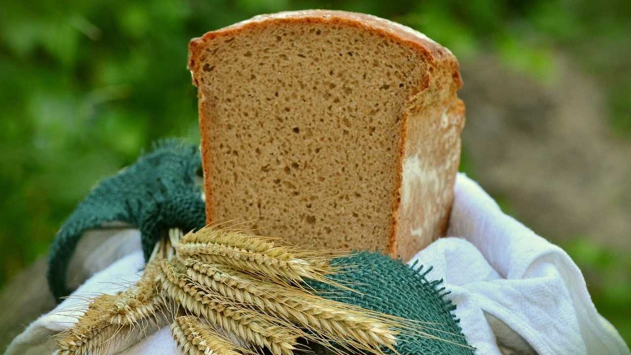 Barley pan