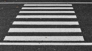 Crosswalk zebra