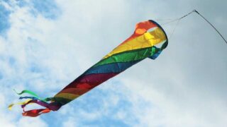 Wind flag
