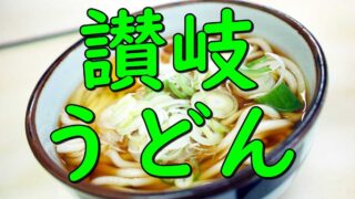 Japanese kagawa food sanukiudon