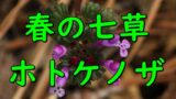Spring hotoke no za