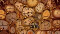 Time clocks