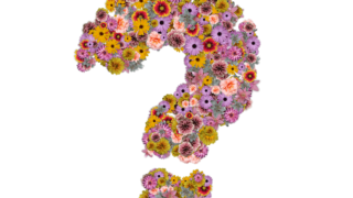Question flower mark