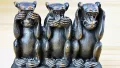 Three monkeys