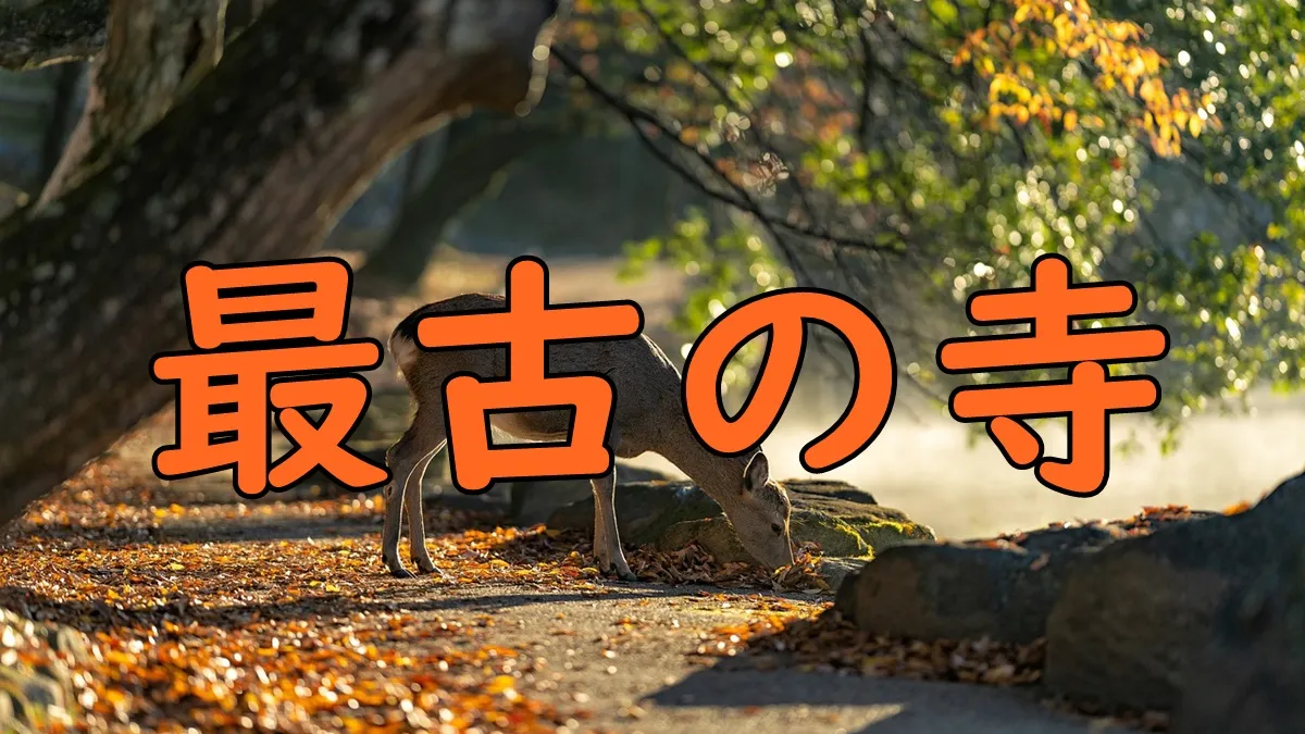Nara nihonsaiko tera