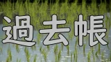 Rice shoots