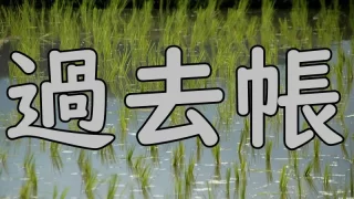Rice shoots
