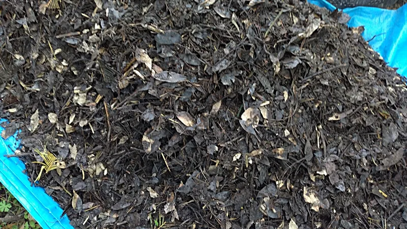 After the forth time, the composting of the branches and leaves progressed 20250420