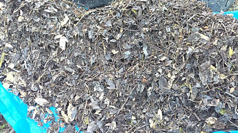After the third time, the composting of the branches and leaves progressed 20250405