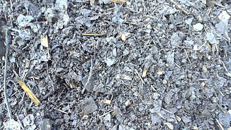 Compost made from pruning branches in 140 days 20250630