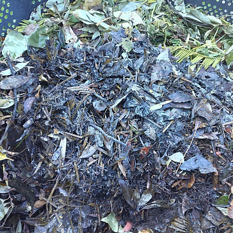 First compost turning 20250309