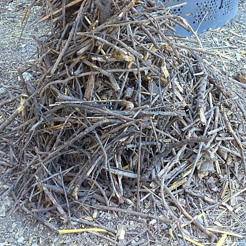 Branches left over from composting