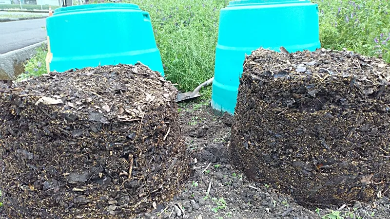 Fourth month of composting fallen leaves