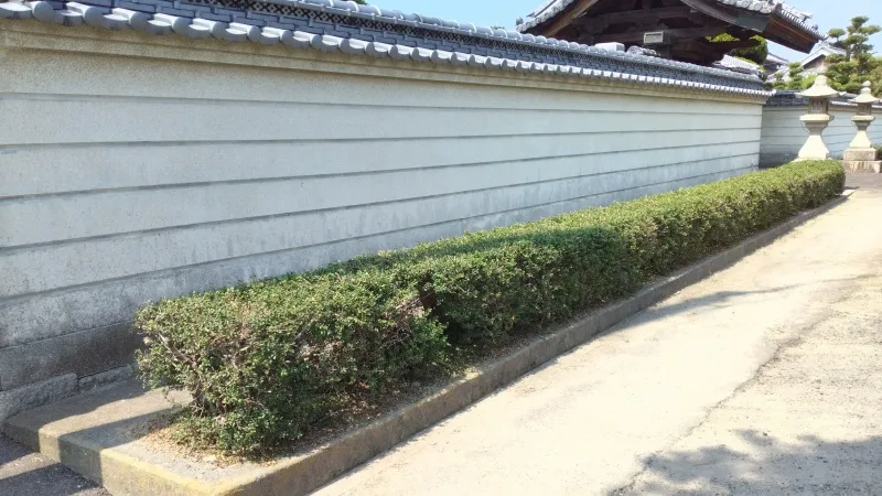 20260721 tuge ikegaki cut